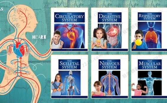《Human Body System Series》6册儿童人体科普知识英文绘本PDF 百度云网盘下载