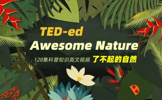 《Awesome Nature了不起的自然》128集TED科普知识系列视频 百度云网盘下载