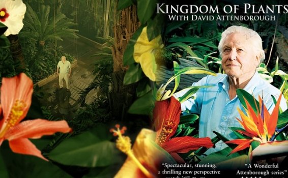 《植物王国Kingdom of Plants》全3集英语英字科普英文纪录片 百度云网盘下载
