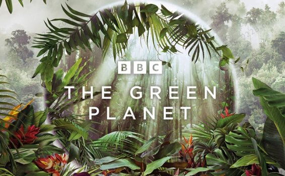 《绿色星球The Green Planet》全5集BBC英语英字科普英文纪录片 百度云网盘下载