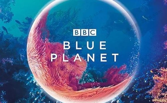 《蓝色星球The Blue Planet》全8集BBC英语英字科普英文纪录片 百度云网盘下载